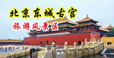 欧美大黑鸡巴肏小屄屄视频中国北京-东城古宫旅游风景区